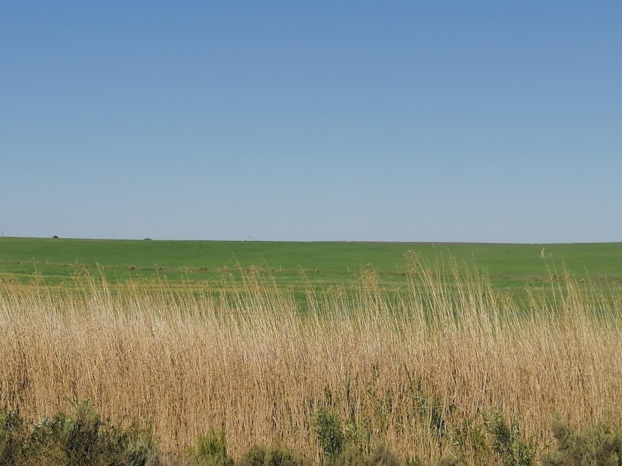 Commercial Property for Sale in Baardskeerdersbos Western Cape